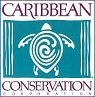 Caribbean Conservation Corporation and Sea Turtle